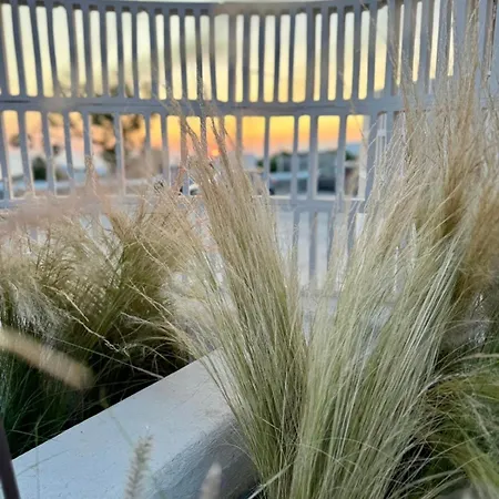 Conte Mykonos I Apartmán *